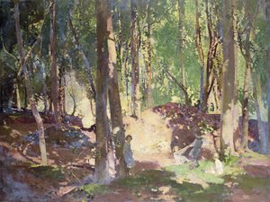 Mañana en el bosque